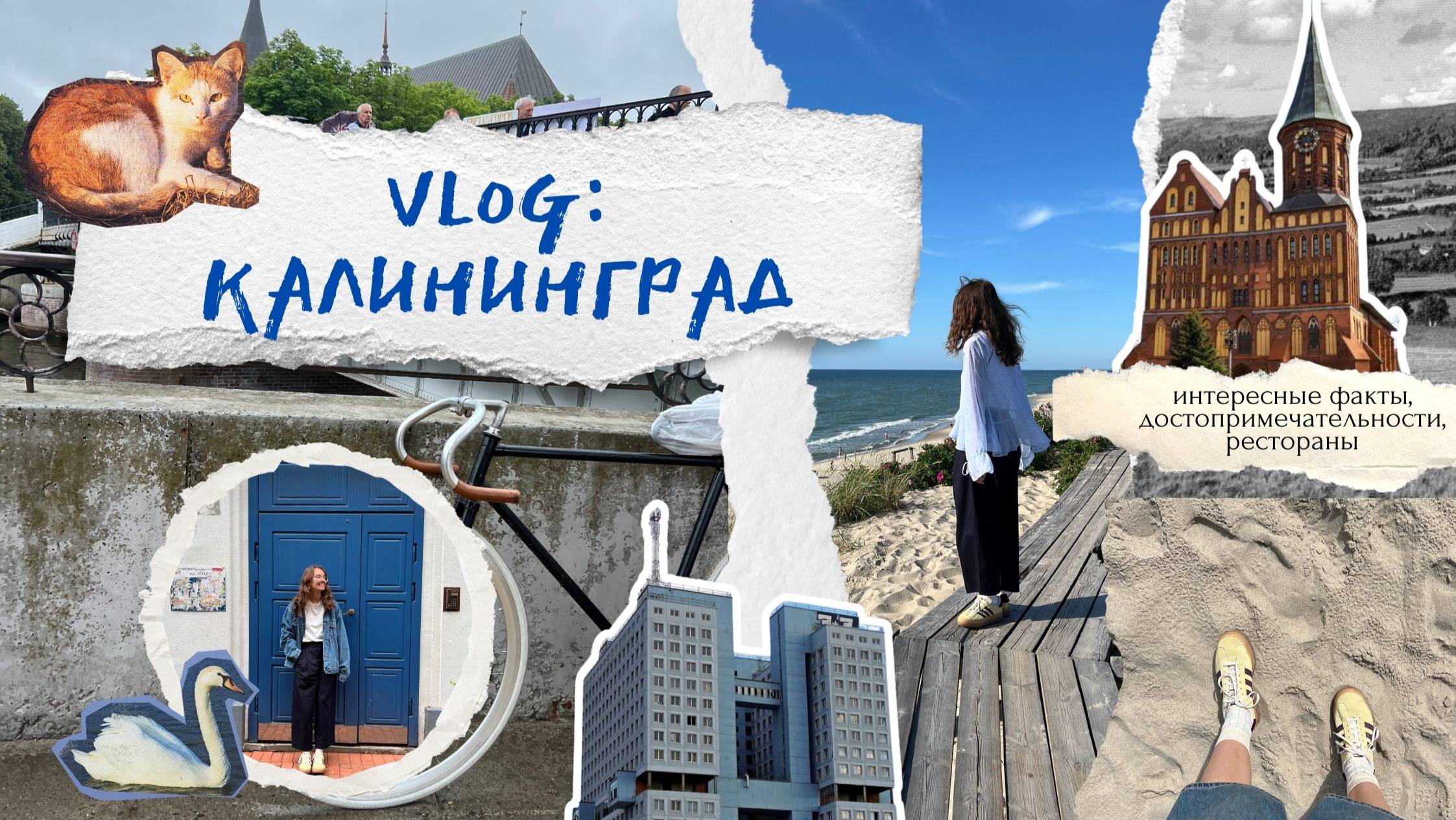 VLOG: неделя в Калининграде | Рестораны, музеи, заброшенный зоопарк и Куршская Коса