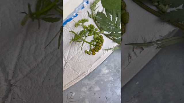 Рама для зеркала из природных материалов.