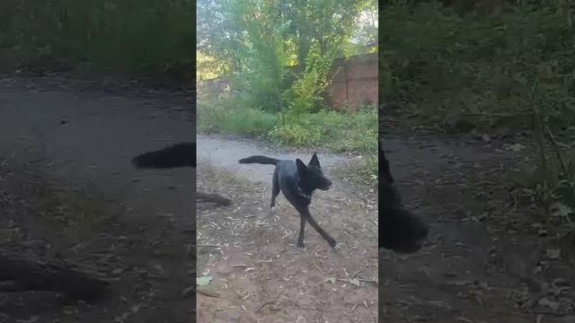 Крестик Нолик 102.10.2024