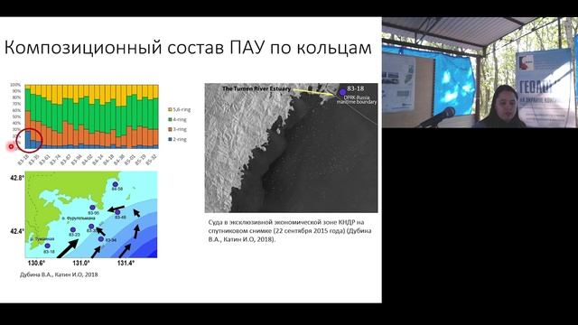 Уровни, происхождение и экологический риск загрязнения полициклическими ароматическими углево....