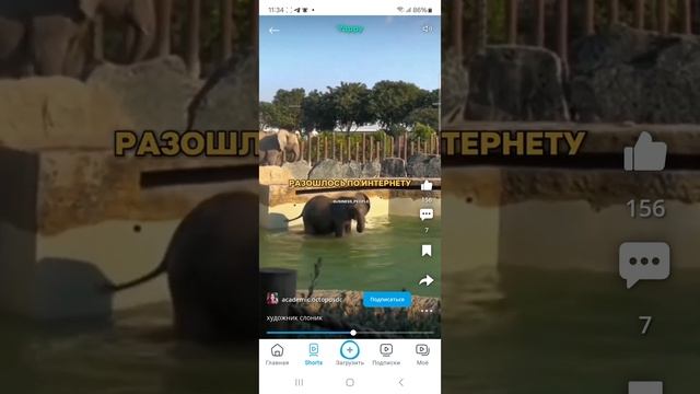 рисующий слоник