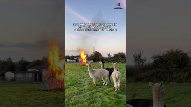 Мы тут не при чем 😅
