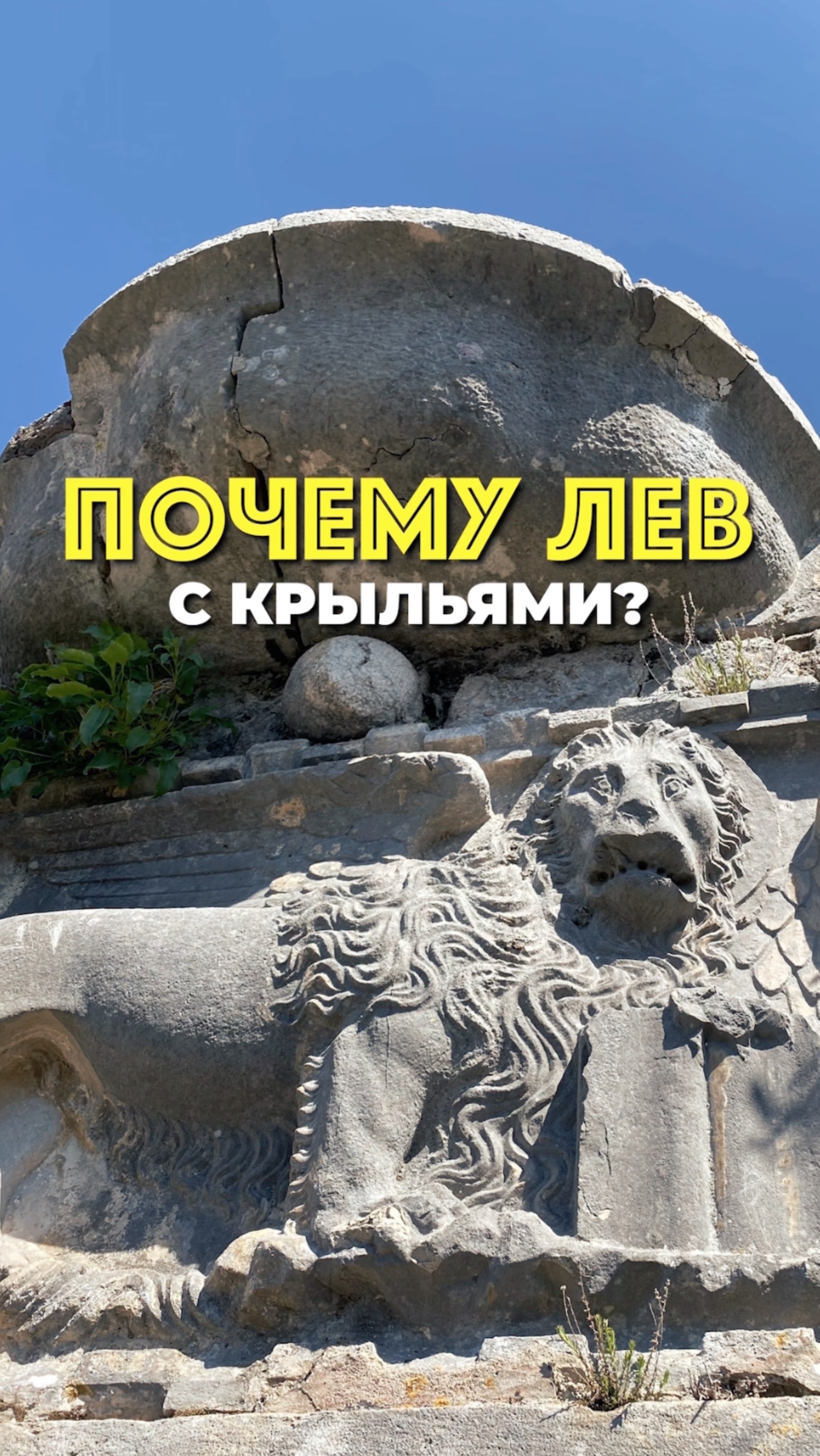 Почему лев с крыльями? Черногория, Котор.