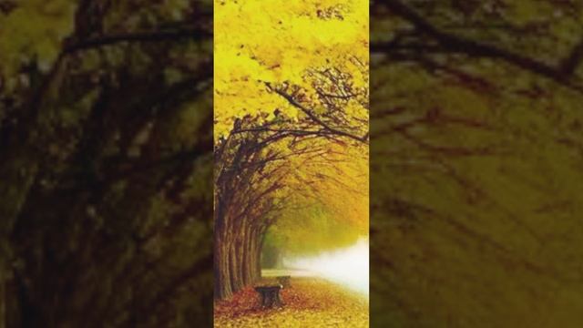 Добрым утром🌞
Хорошего дня
Осенний октябрь💖
Картинки на заставку на телефон. 🍁🍂🌺💖
