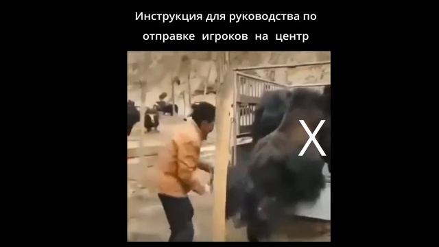 Инструкция для РЛов