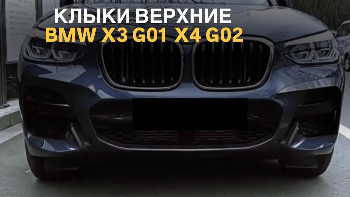 Клыки верхние BMW X3 G01 X4 G02