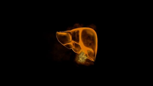 Subetta_мех.действия