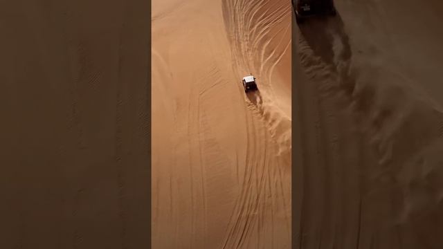 Desert