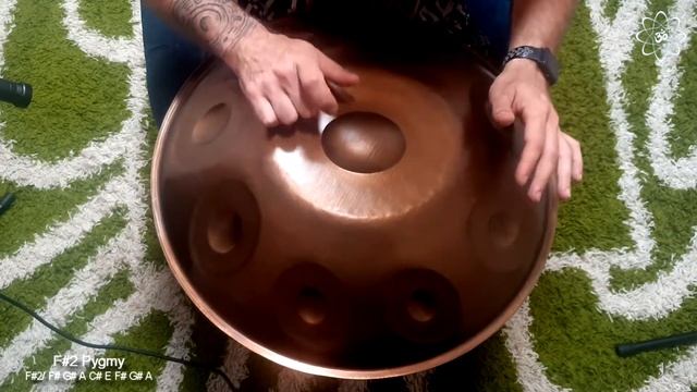 F#2 Pygmy 9 (14 09 2022) / Atom Handpan Stainless Steel