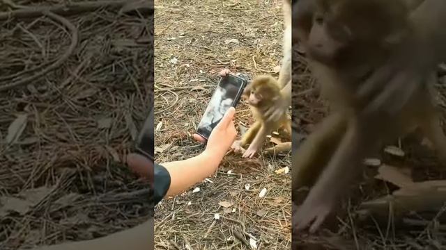 Когда в гости пришли знакомые с ребёнком