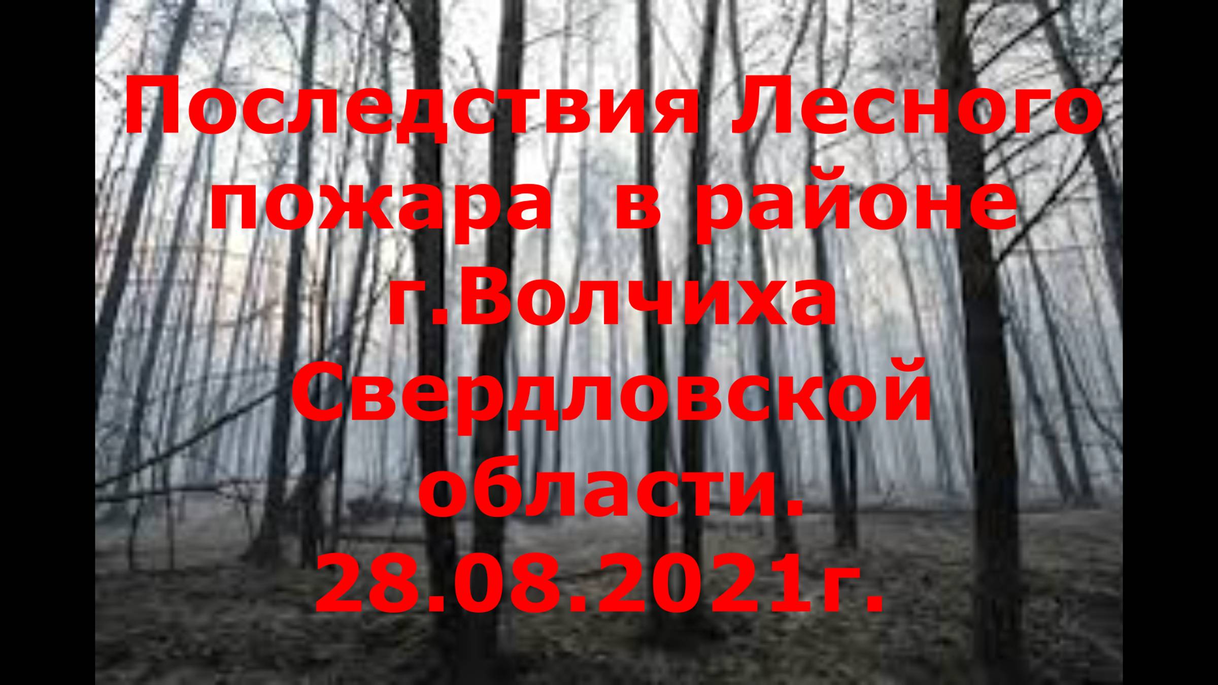 Дача № 2. Выпуск 5. Последствия  лесного пожара под Екатеринбургом.