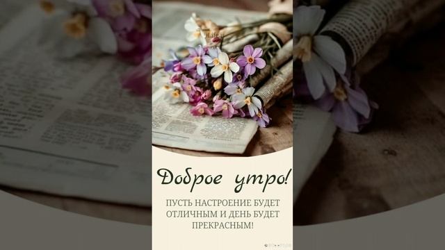 🌹С добрым утром и пусть оно станет прекрасным началом счастливого дня!