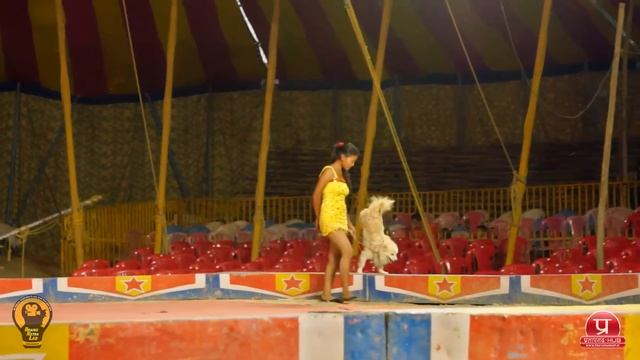 Circus in Pratapgarh Uttar Pradesh