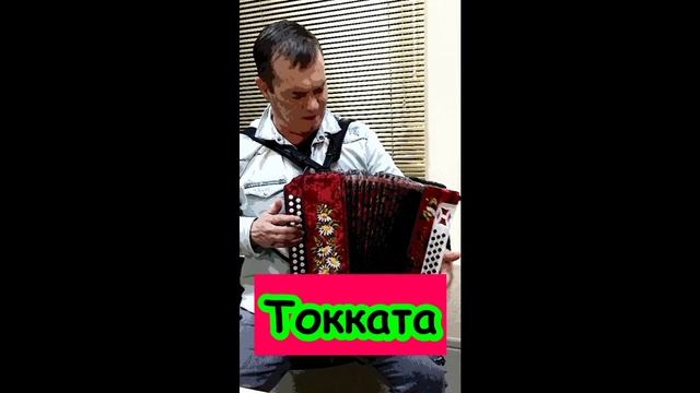 Токката. Дербенко. Accordion. Фольклор. Гармонист. Гармонь. Баянист. Гармонисты. Русская музыка.