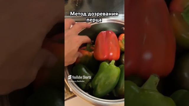 Метод дозревания перца