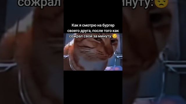 Друг и еда  | Meme Clouds