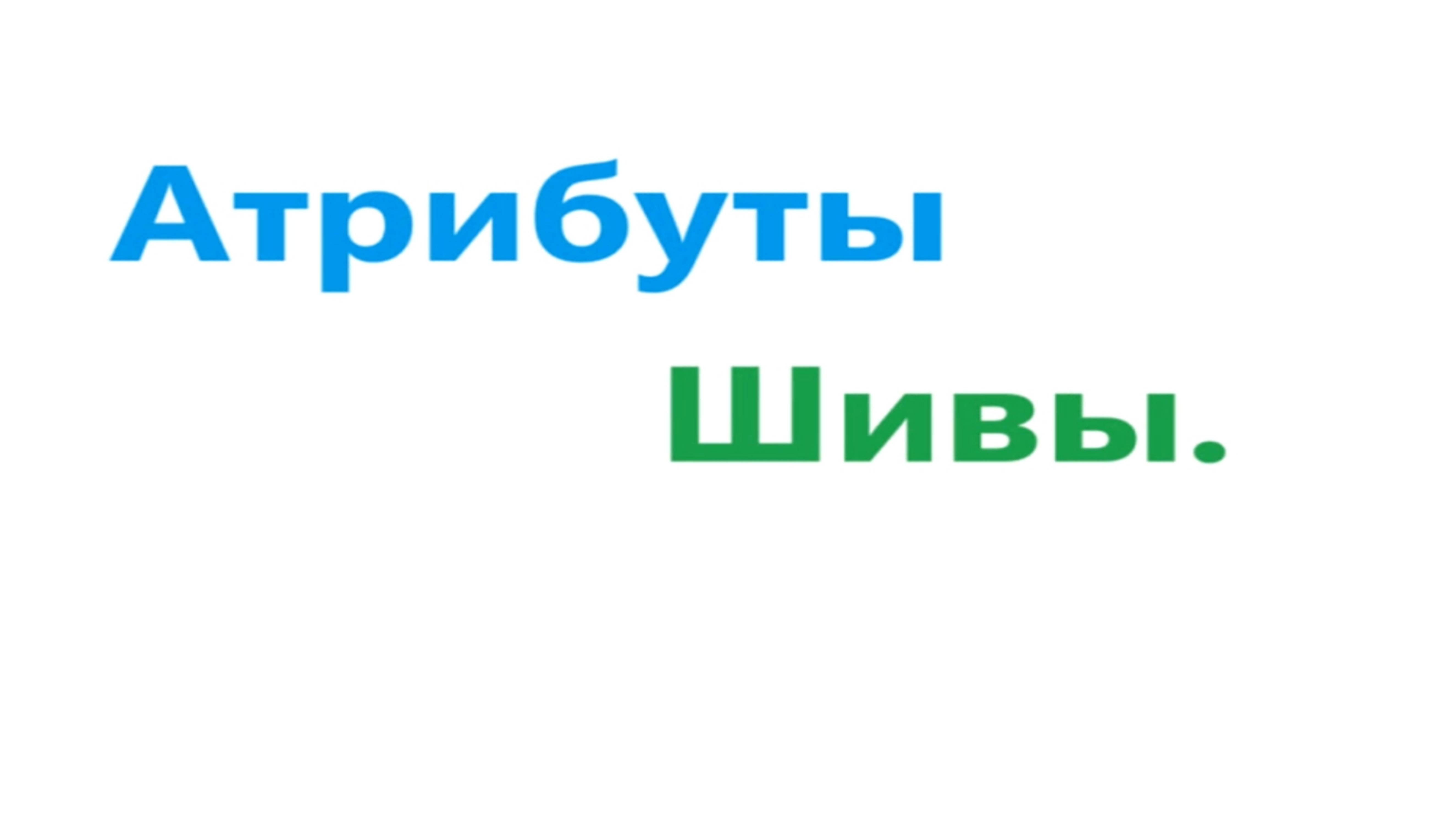 Атрибуты Шивы. Видео 571.