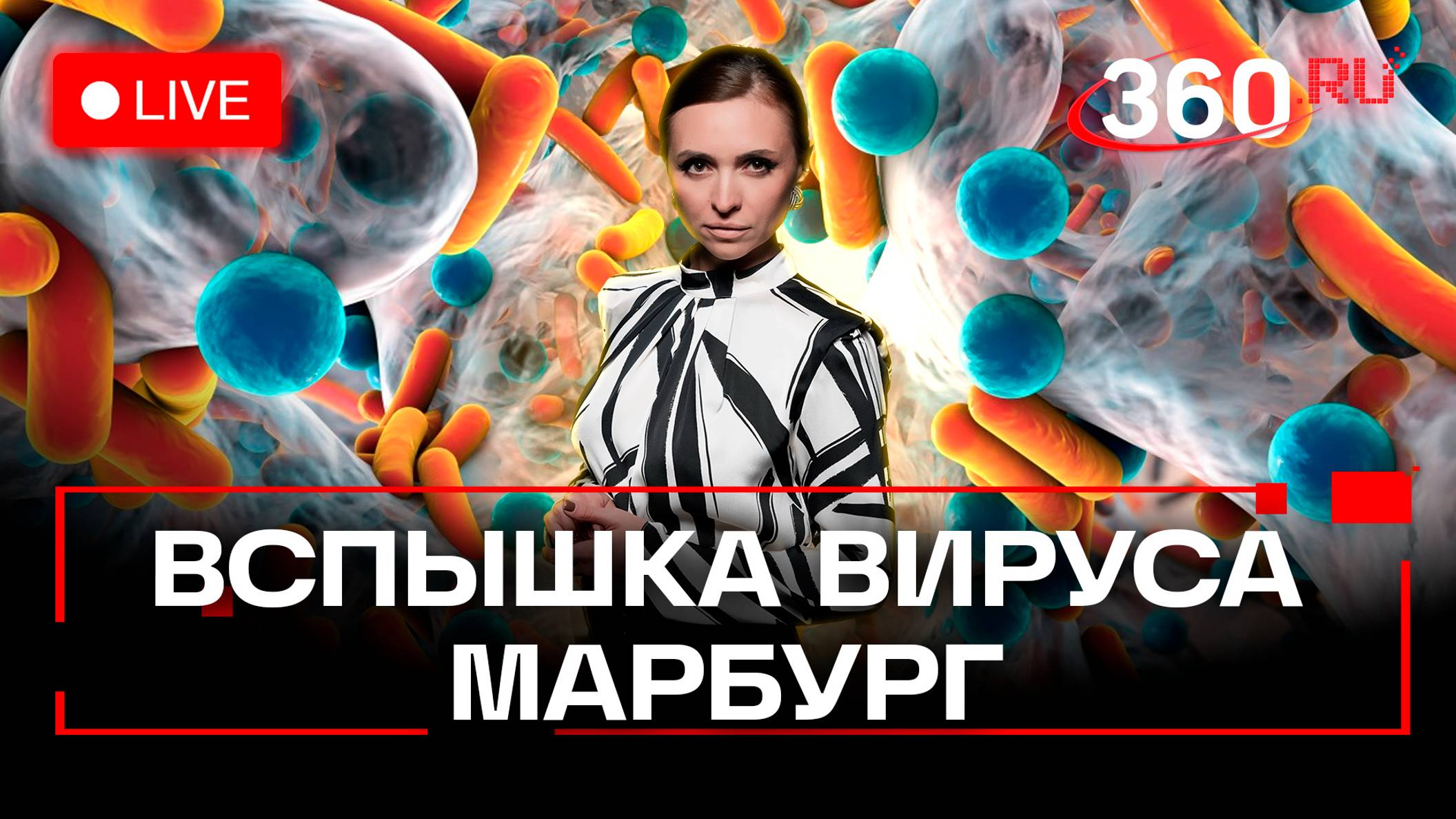 Марбург может попасть в Россию, но распространится. Вирусолог Елена Малинникова — об эпидемии