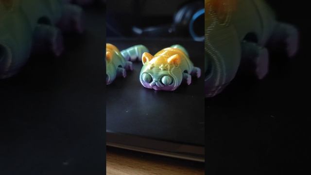 котики