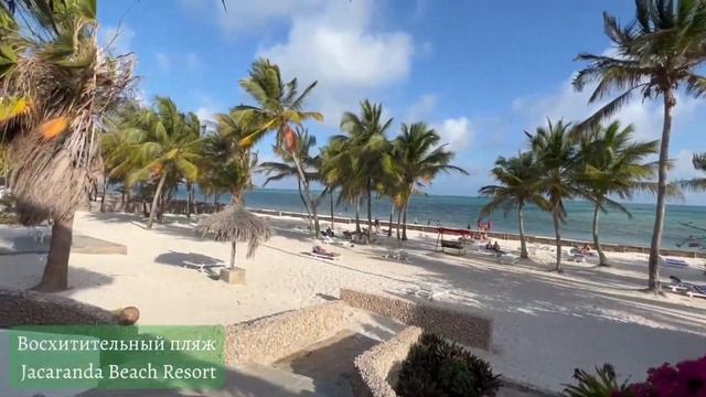 Едем в Кению - Kenya - отель Jacaranda Beach Resort 4* - путешествуем сами