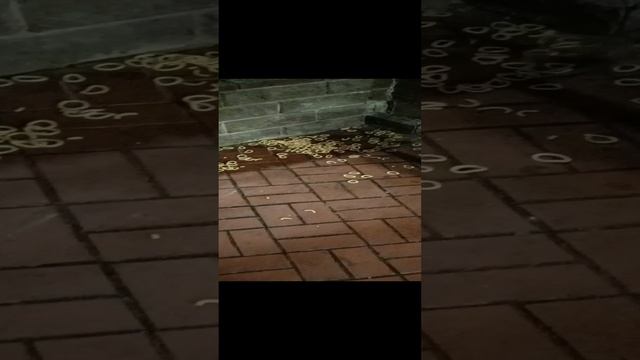 слабонервным не смотреть)