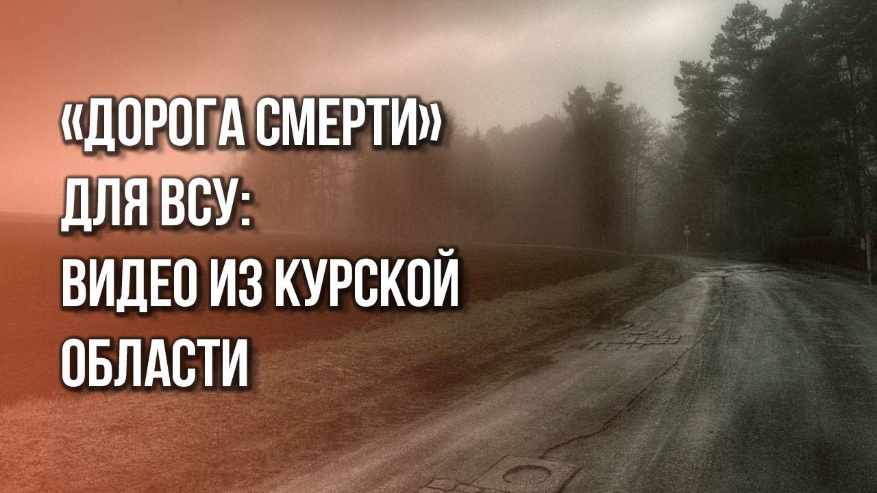 Так выглядит «дорога смерти»: смотрите, что ВС России делают с боевиками ВСУ в Курской области