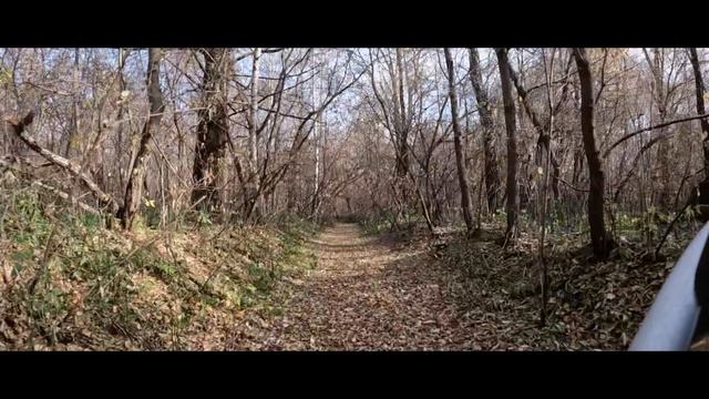 1000004095.mp4