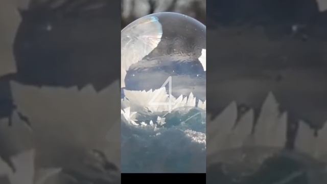 1727962563046