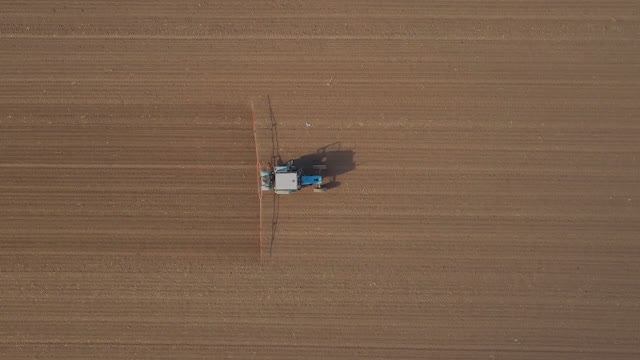 Производитель свежей зелени «Лето»