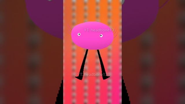 Kinito PET #kinitopet