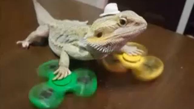 1000010121.mp4