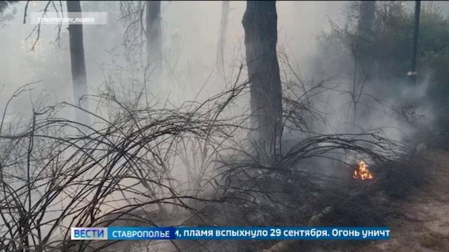 В Кисловодске ищут свидетелей крупного пожара, охватившего национальный парк