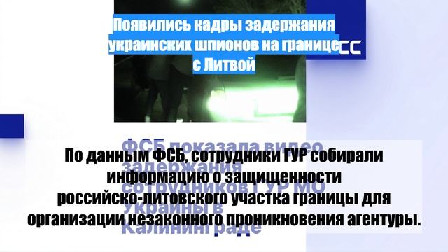 Появились кадры задержания украинских шпионов на границе с Литвой