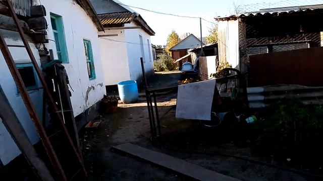 Почистила посолила рыбку / стираю ковры / готовлю рагу овощное /