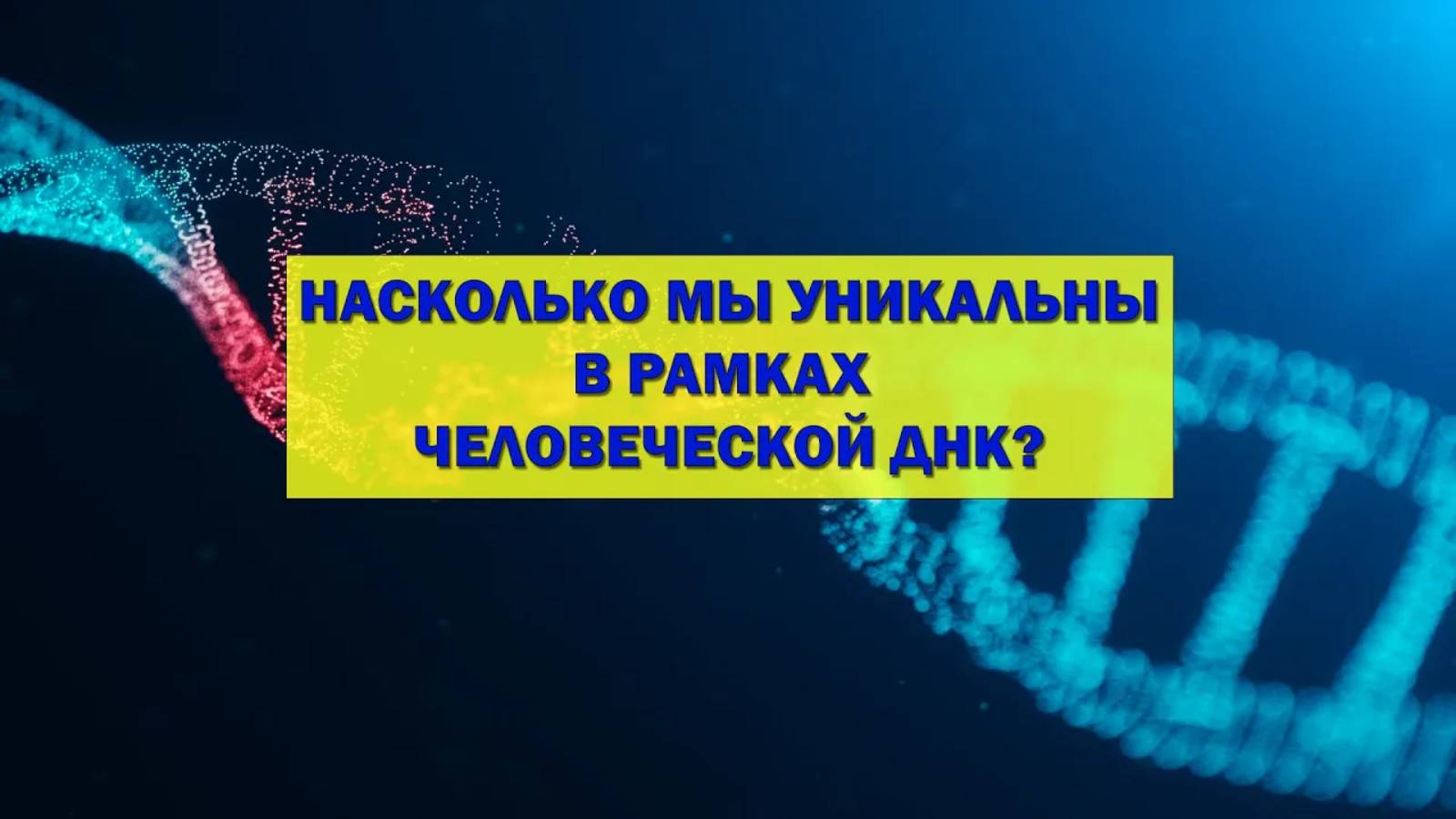 Насколько мы уникальны в рамках человеческой ДНК?