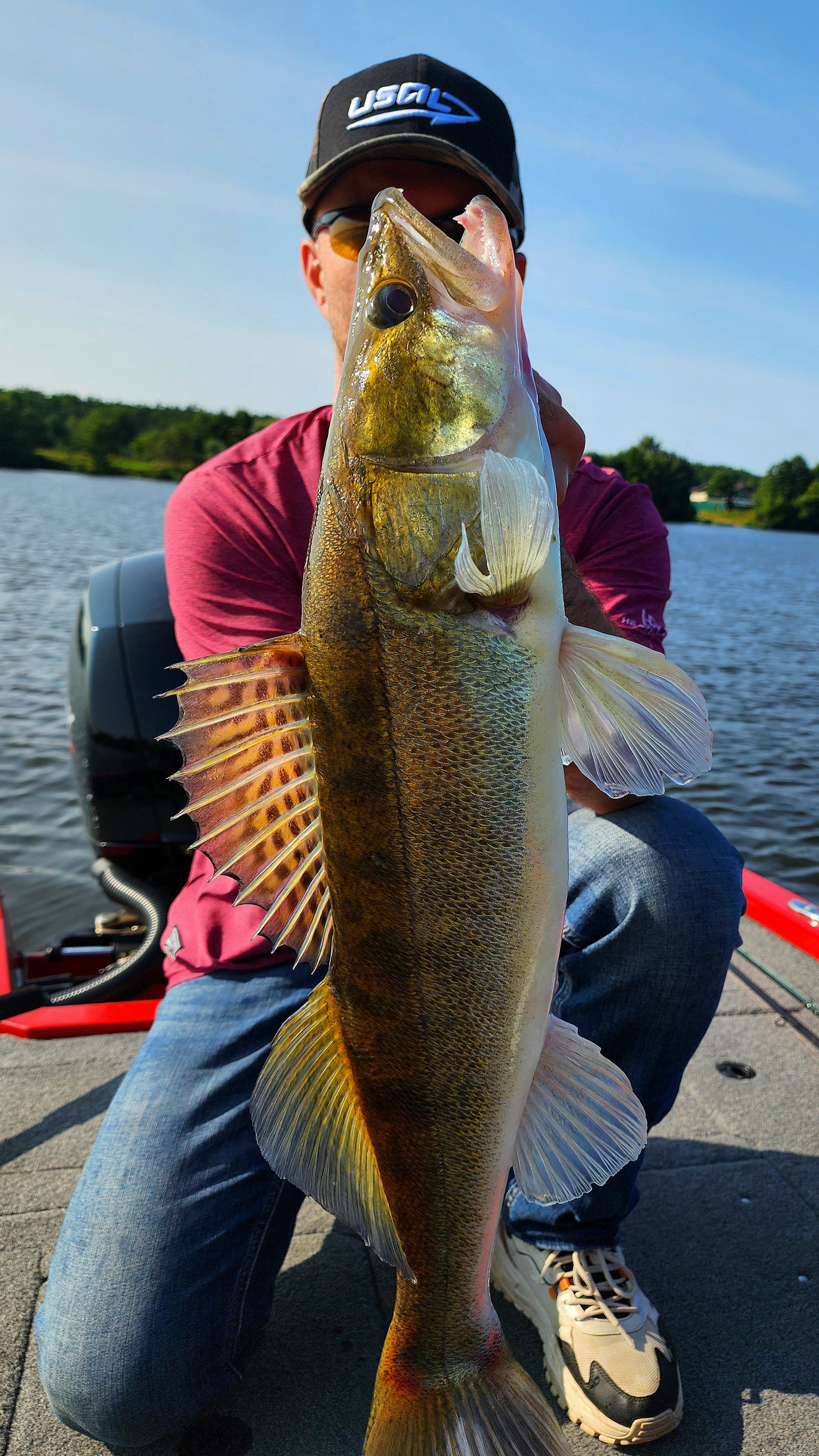 Через всю страну за судаком