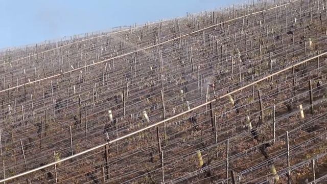 CHABLIS - Protection des vignes contre le gel