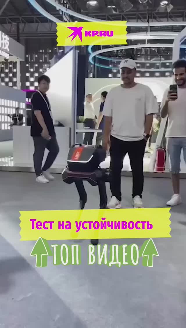 Тест на устойчивость