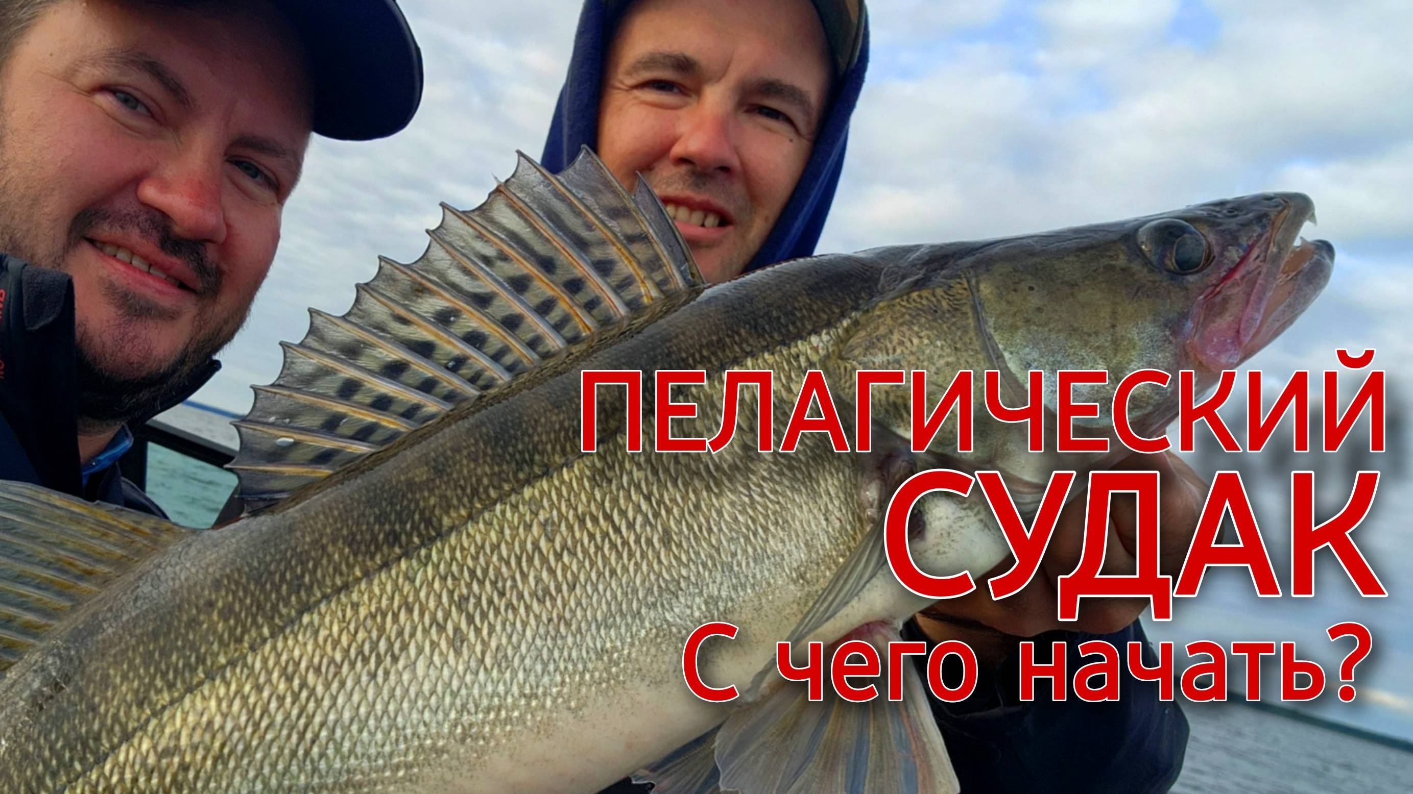 Пелагический судак с Panoptix.