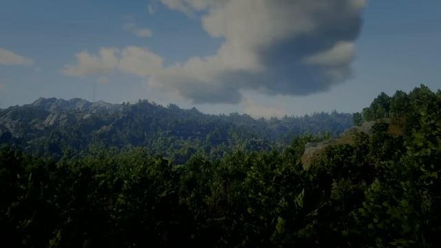 RED DEAD REDEMPTION 2 Ambient Music & Ambience 🎵 Mountain Forest (RDR2 Soundtrack _ OST)