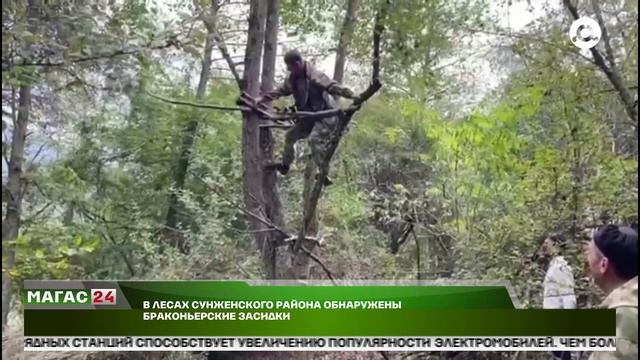 В лесах Сунженского района обнаружены браконьерские засидки