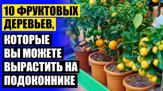 ❗ КАРЛИКОВЫЕ ФРУКТОВЫЕ ДЕРЕВЬЯ ОТЗЫВЫ ⚫