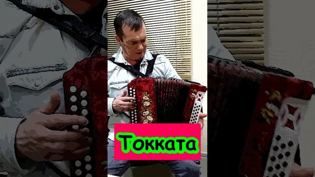 Токката. Дербенко. Accordion. Фольклор. Гармонист. Гармонь. Баянист. Гармонисты. Русская музыка.