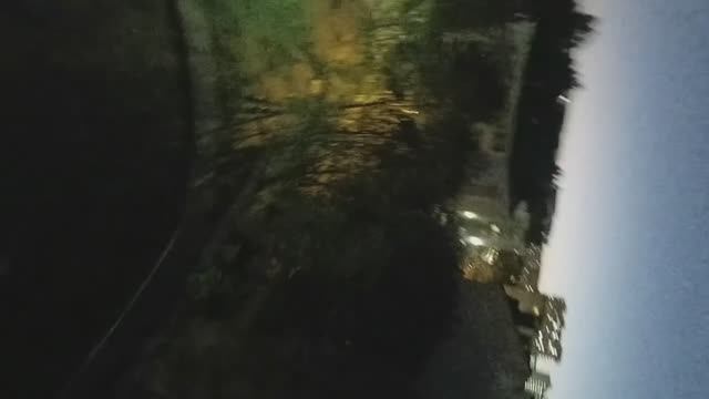 AVATAR PRO ROBOT
