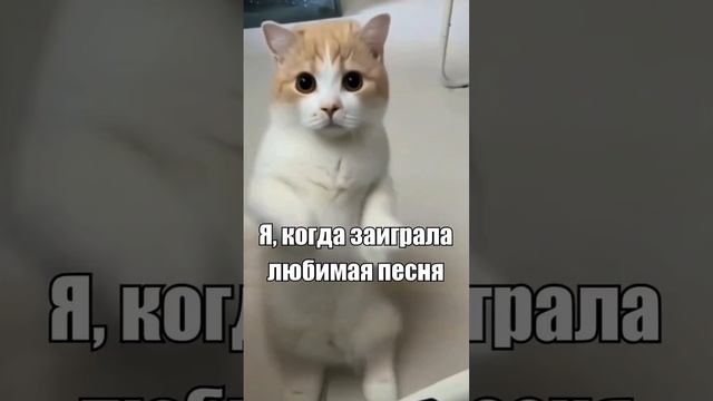 Руби-руби