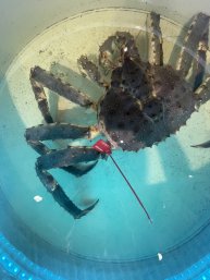 Приходить и все ко мне буду круто показывать