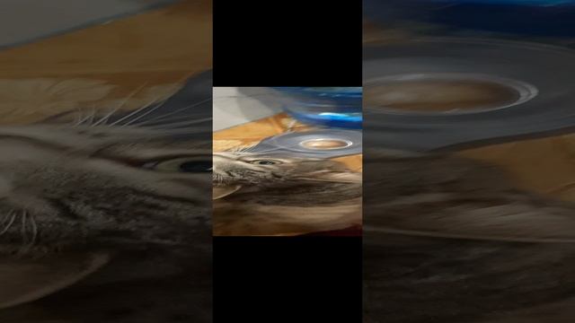 20241003_204345_001.mp4