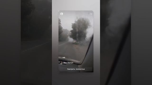 Утренний туман.mp4