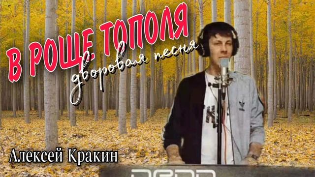 Алексей Кракин - В РОЩЕ ТОПОЛЯ дворовая песня