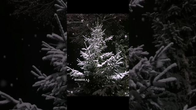 VID_128401017_170107_962.mp4